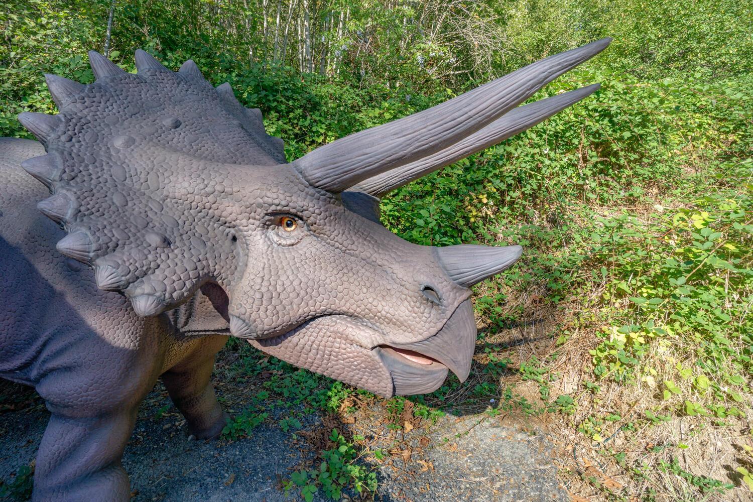 Jurassic Rebirth Out On Jul 2 - Book Your Stay Now (Adults Only) Washougal Εξωτερικό φωτογραφία